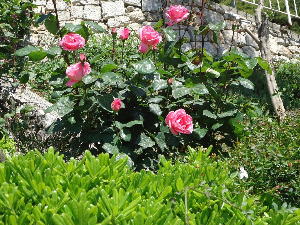 Peric Rooms Dubrovnik Eksteriør billede